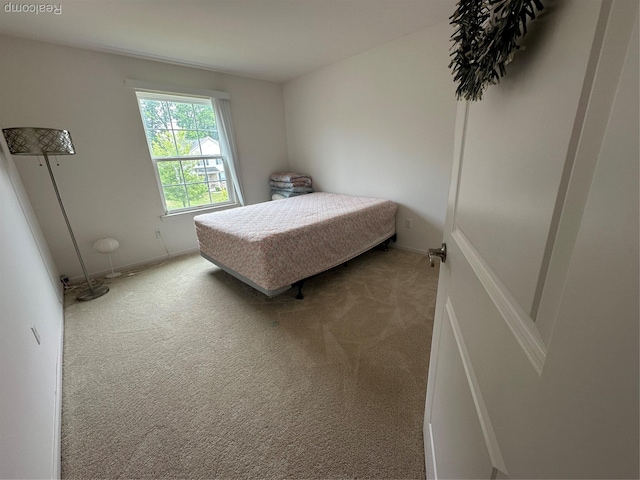 33555 Birchlawn, Westland, MI 48185 - bedroom featuring carpet floors and baseboards