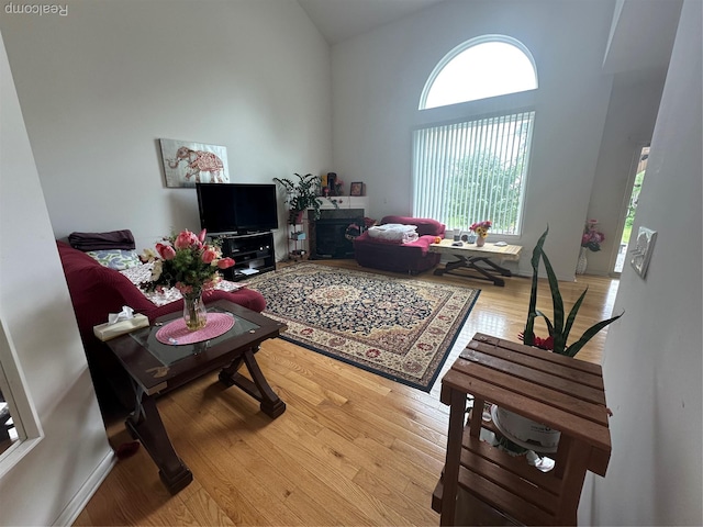 33555 Birchlawn, Westland, MI 48185 - living area with light wood-style floors and high vaulted ceiling