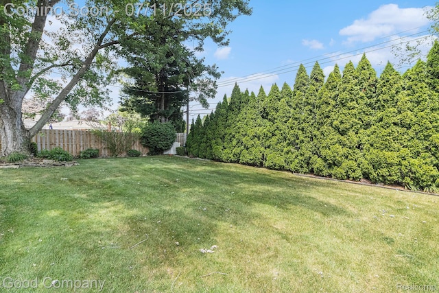 3847 Dwight Dr, Warren, MI 48092 - view of yard