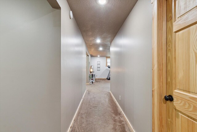 9956 Gruett Rd, Saint Louis, MI 48880 - photo 46