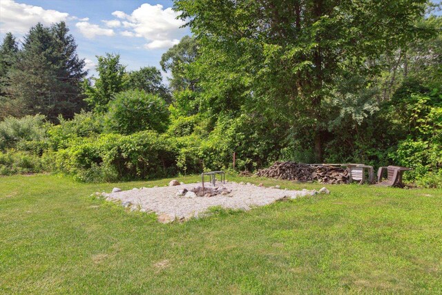 9956 Gruett Rd, Saint Louis, MI 48880 - photo 72