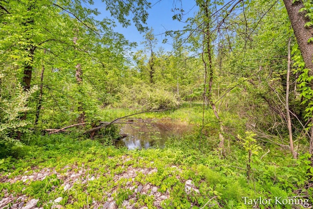 3111 N 128th Ave, Hart, MI 49420 - photo 43