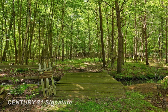 13715 Baldwin Rd, Saginaw, MI 48616 - view of community featuring a view of trees