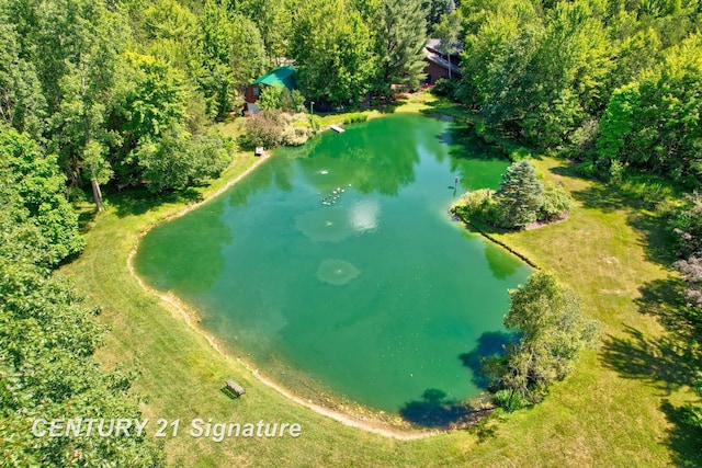 13715 Baldwin Rd, Saginaw, MI 48616 - aerial view of a large body of water and a forest