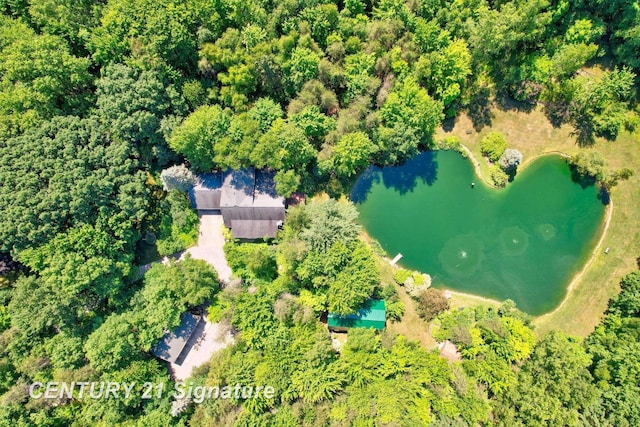 13715 Baldwin Rd, Saginaw, MI 48616 - bird's eye view of a nearby body of water