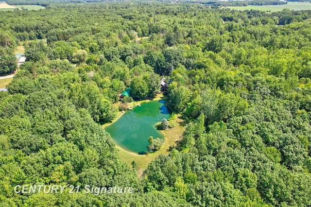 13715 Baldwin Rd, Saginaw, MI 48616 - aerial view of property's location with a heavily wooded area and a large body of water