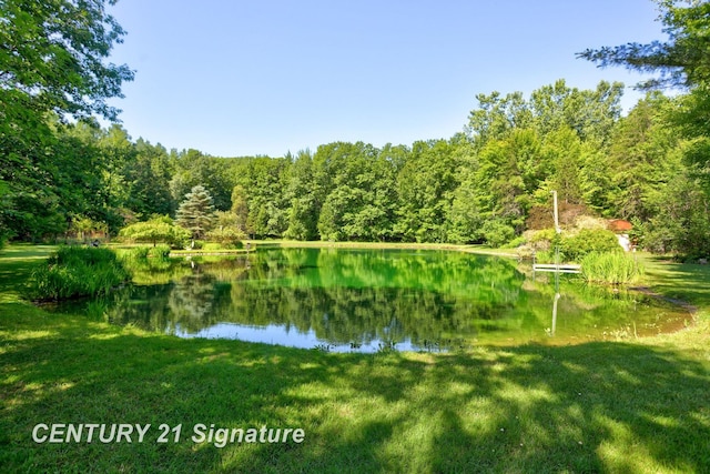 13715 Baldwin Rd, Saginaw, MI 48616 - water view featuring a forest