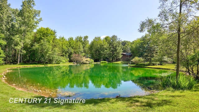 13715 Baldwin Rd, Saginaw, MI 48616 - water view with a forest