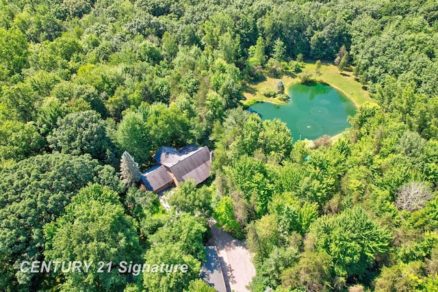 13715 Baldwin Rd, Saginaw, MI 48616 - view of subject property with a large body of water and a forest