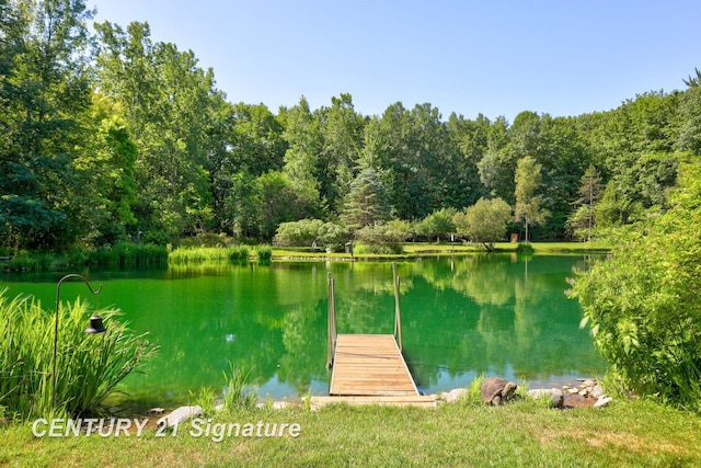 13715 Baldwin Rd, Saginaw, MI 48616 - dock area featuring a forest view and a water view