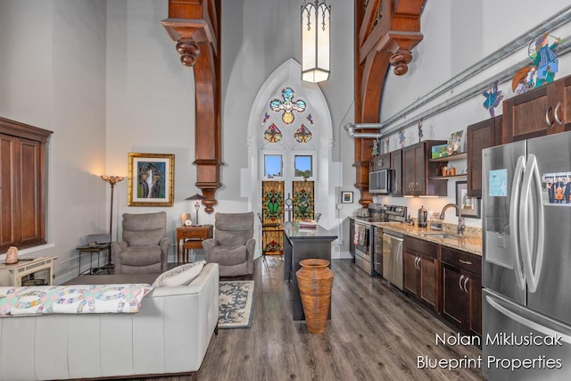 253 Prospect Ave NE Unit 309, Grand Rapids, MI 49503 - living room featuring a high ceiling and dark wood-style flooring