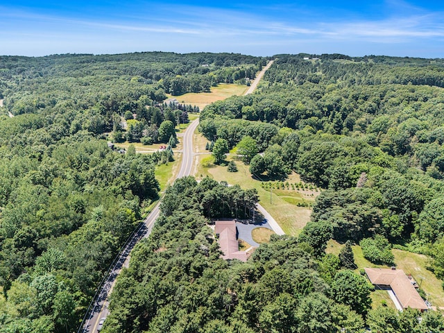5920 Iris Rd, Ludington, MI 49431 - bird's eye view of a forest