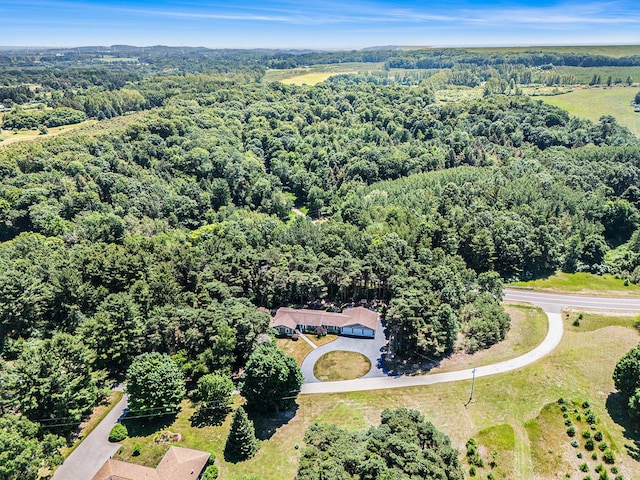 5920 Iris Rd, Ludington, MI 49431 - drone / aerial view of a heavily wooded area