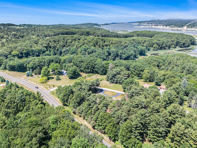 5920 Iris Rd, Ludington, MI 49431 - aerial view of property and surrounding area featuring a forest and a nearby body of water