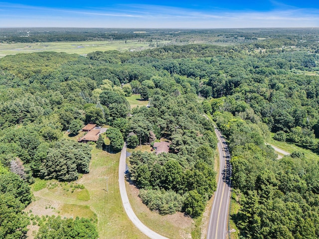 5920 Iris Rd, Ludington, MI 49431 - aerial view of property and surrounding area with a forest