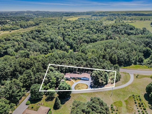 5920 Iris Rd, Ludington, MI 49431 - aerial view of property and surrounding area featuring a heavily wooded area and property boundaries highlighted