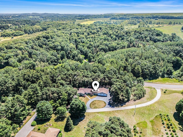 5920 Iris Rd, Ludington, MI 49431 - bird's eye view of a heavily wooded area