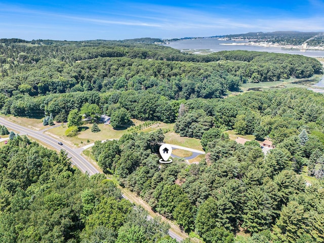 5920 Iris Rd, Ludington, MI 49431 - aerial view of a forest and a nearby body of water