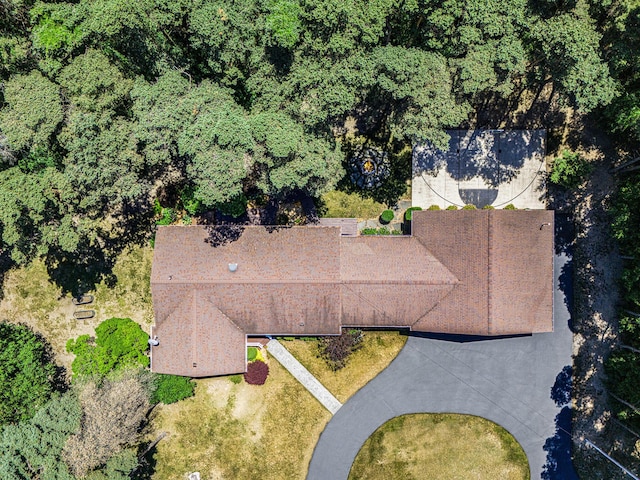 5920 Iris Rd, Ludington, MI 49431 - aerial view