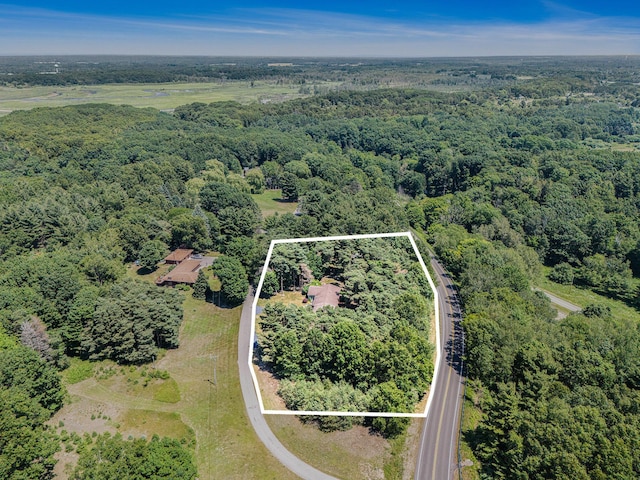 5920 Iris Rd, Ludington, MI 49431 - aerial overview of property's location with a heavily wooded area and property boundaries highlighted