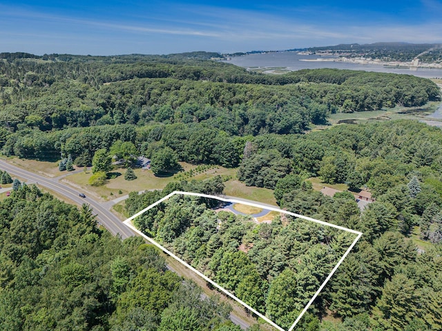 5920 Iris Rd, Ludington, MI 49431 - aerial overview of property's location featuring property parcel outlined
