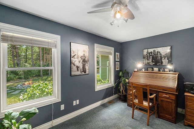 5920 Iris Rd, Ludington, MI 49431 - office area with plenty of natural light, ceiling fan, and carpet