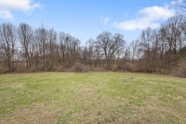 10833 W O Ave, Michigan, MI 49071 - view of green lawn