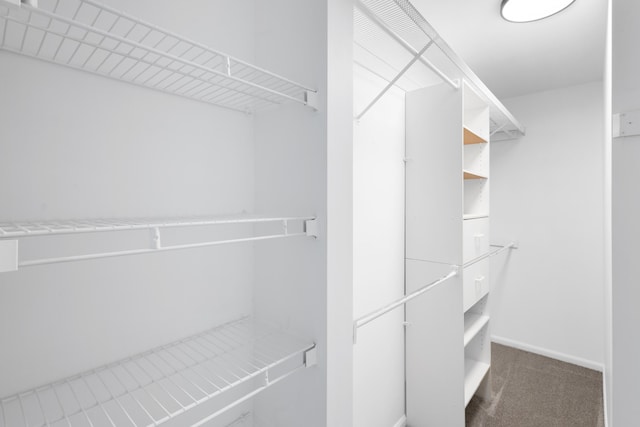 10833 W O Ave, Michigan, MI 49071 - walk in closet featuring carpet