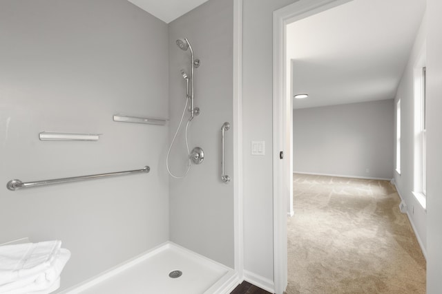10833 W O Ave, Michigan, MI 49071 - bathroom featuring a shower stall