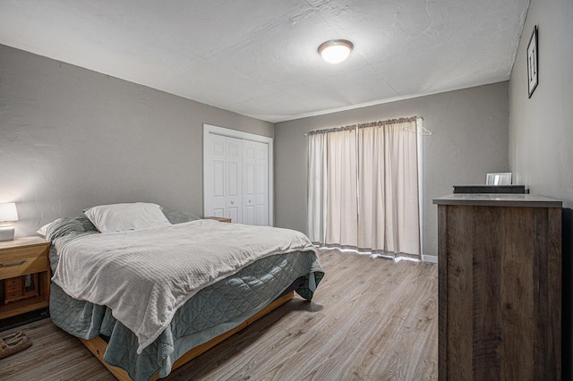 24984 Marcellus Hwy, Dowagiac, MI 49047 - bedroom with light wood-type flooring and a closet