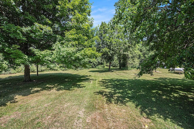 24984 Marcellus Hwy, Dowagiac, MI 49047 - view of grassy yard
