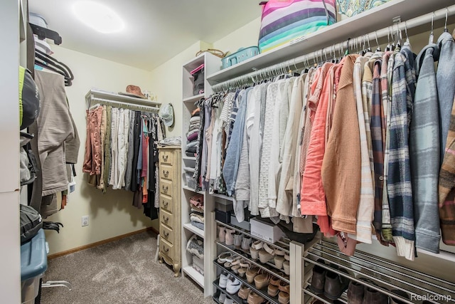2086 Haines Rd, Lapeer, MI 48446 - spacious closet with carpet