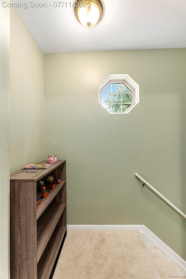 41455 Clinton Grove Dr, Clinton Township, MI 48038 - stairway featuring baseboards and carpet floors