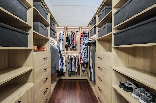 125 S Kalamazoo Mall Unit 603, Kalamazoo, MI 49007 - walk in closet with dark wood-style flooring