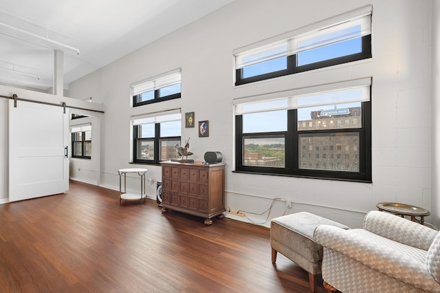 125 S Kalamazoo Mall Unit 603, Kalamazoo, MI 49007 - sitting room with a barn door, dark wood-type flooring, and a high ceiling