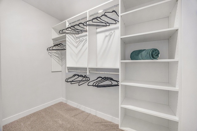 LOT99 Rose Ridge Dr, Rockford, MI 49341 - walk in closet featuring carpet flooring