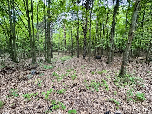 3803 64th St, Holland, MI 49423 - view of tree filled area