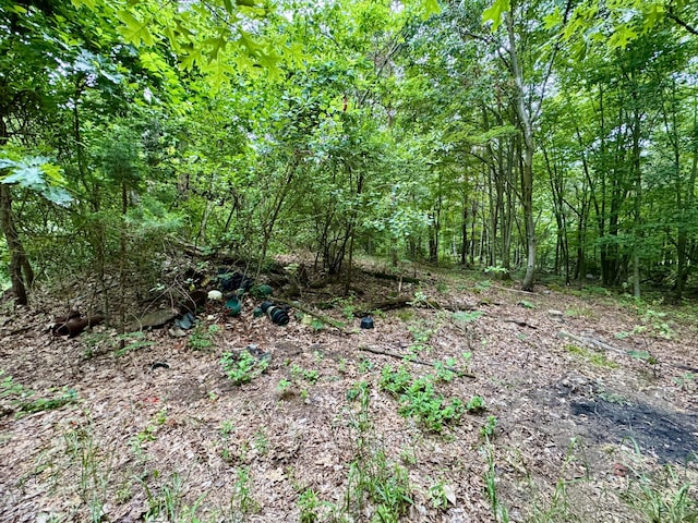 3803 64th St, Holland, MI 49423 - view of woods