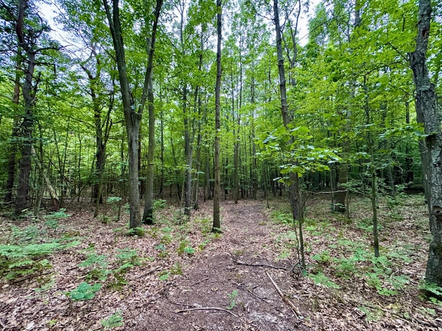 3803 64th St, Holland, MI 49423 - view of woods