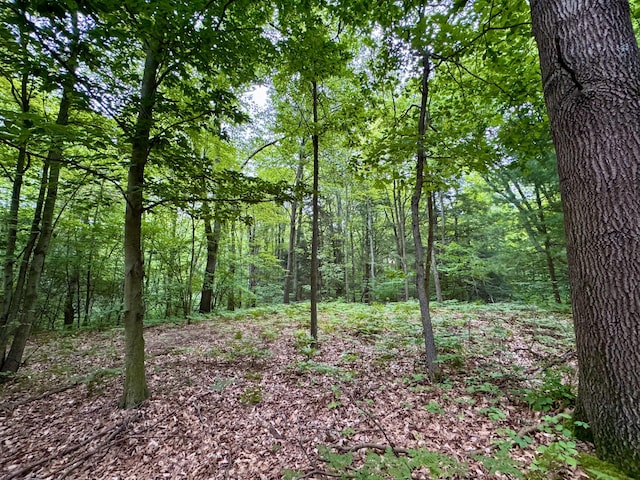 3803 64th St, Holland, MI 49423 - view of tree filled area
