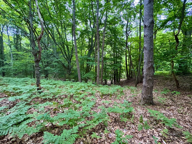 3803 64th St, Holland, MI 49423 - view of woods