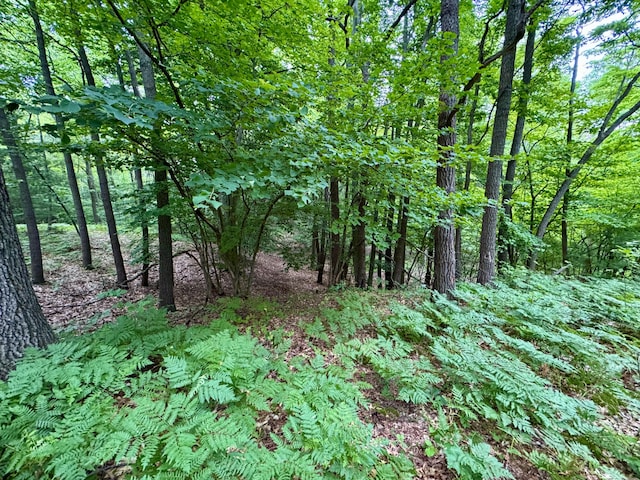 3803 64th St, Holland, MI 49423 - view of wooded area