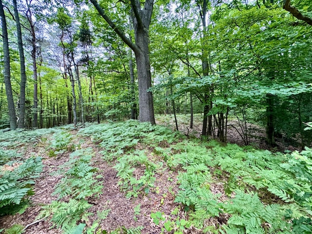 3803 64th St, Holland, MI 49423 - view of tree filled area