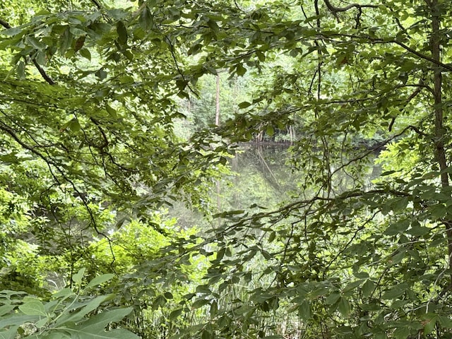 3803 64th St, Holland, MI 49423 - view of tree filled area