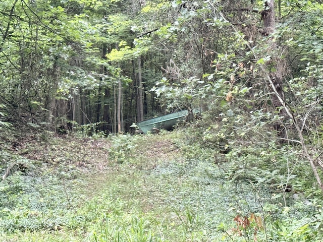3803 64th St, Holland, MI 49423 - view of woods