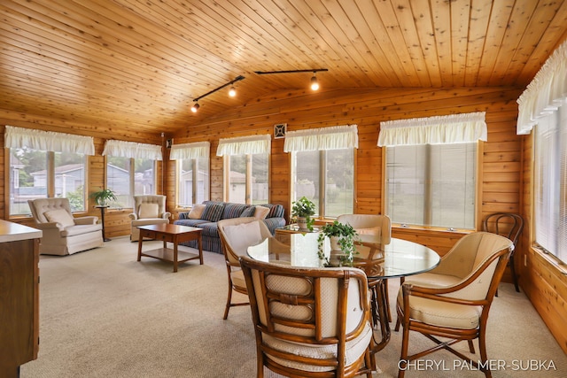 1838 Kings Ct, Muskegon, MI 49445 - dining area featuring rail lighting, lofted ceiling, light colored carpet, wood ceiling, and wood walls