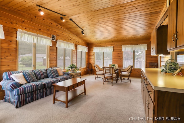 1838 Kings Ct, Muskegon, MI 49445 - living area featuring rail lighting, lofted ceiling, wooden walls, wooden ceiling, and light carpet