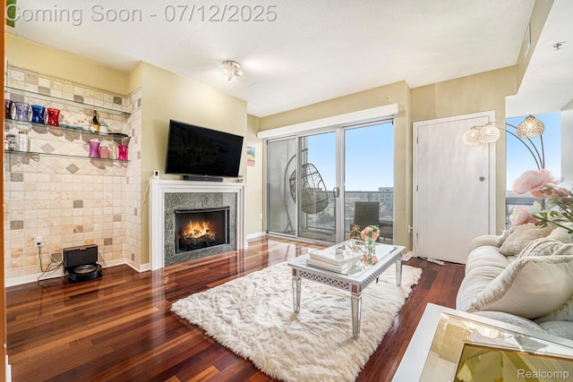 432 S Washington Ave Unit 802, Royal Oak, MI 48067 - living area featuring wood finished floors and a fireplace