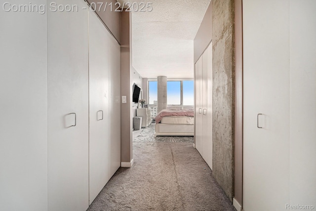 432 S Washington Ave Unit 802, Royal Oak, MI 48067 - hallway with carpet and a textured ceiling