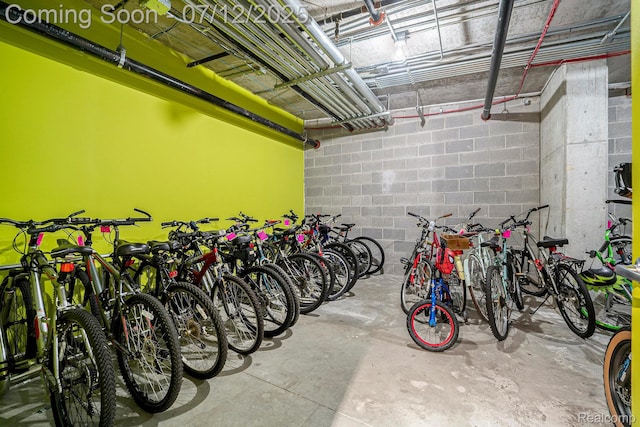 432 S Washington Ave Unit 802, Royal Oak, MI 48067 - garage featuring bike storage